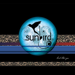 Lush Like You - Sunbird | Song Album Cover Artwork