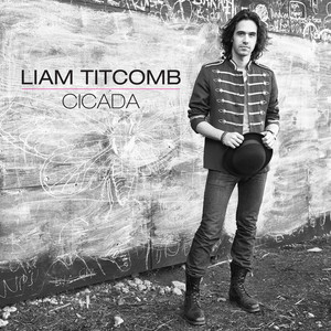 Landslide Liam Titcomb | Album Cover