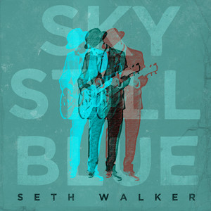 Trouble (Don't Want No) - Seth Walker | Song Album Cover Artwork
