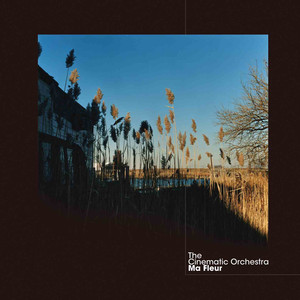 Familiar Ground The Cinematic Orchestra | Album Cover
