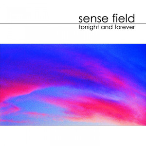 Save Yourself Sense Field | Album Cover