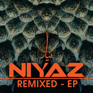 Dilruba (Junkie XL Remix) - Niyaz | Song Album Cover Artwork