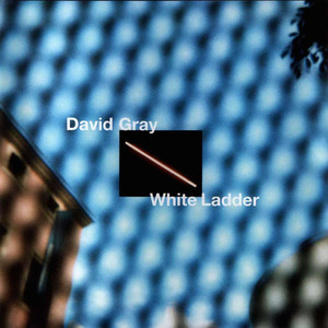 My Oh My David Gray | Album Cover