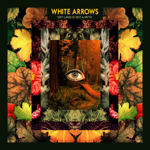 Little Birds - White Arrows | Song Album Cover Artwork