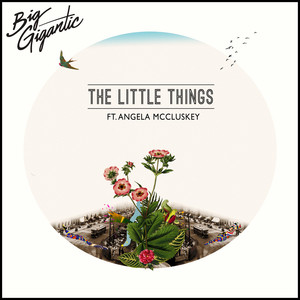 The Little Things (feat. Angela McCluskey) - Big Gigantic | Song Album Cover Artwork