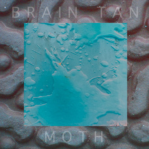 Moth Brain Tan | Album Cover