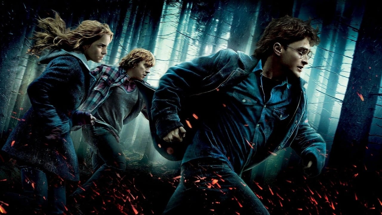 Harry Potter and the Deathly Hallows: Part 1 2010 - Movie Banner