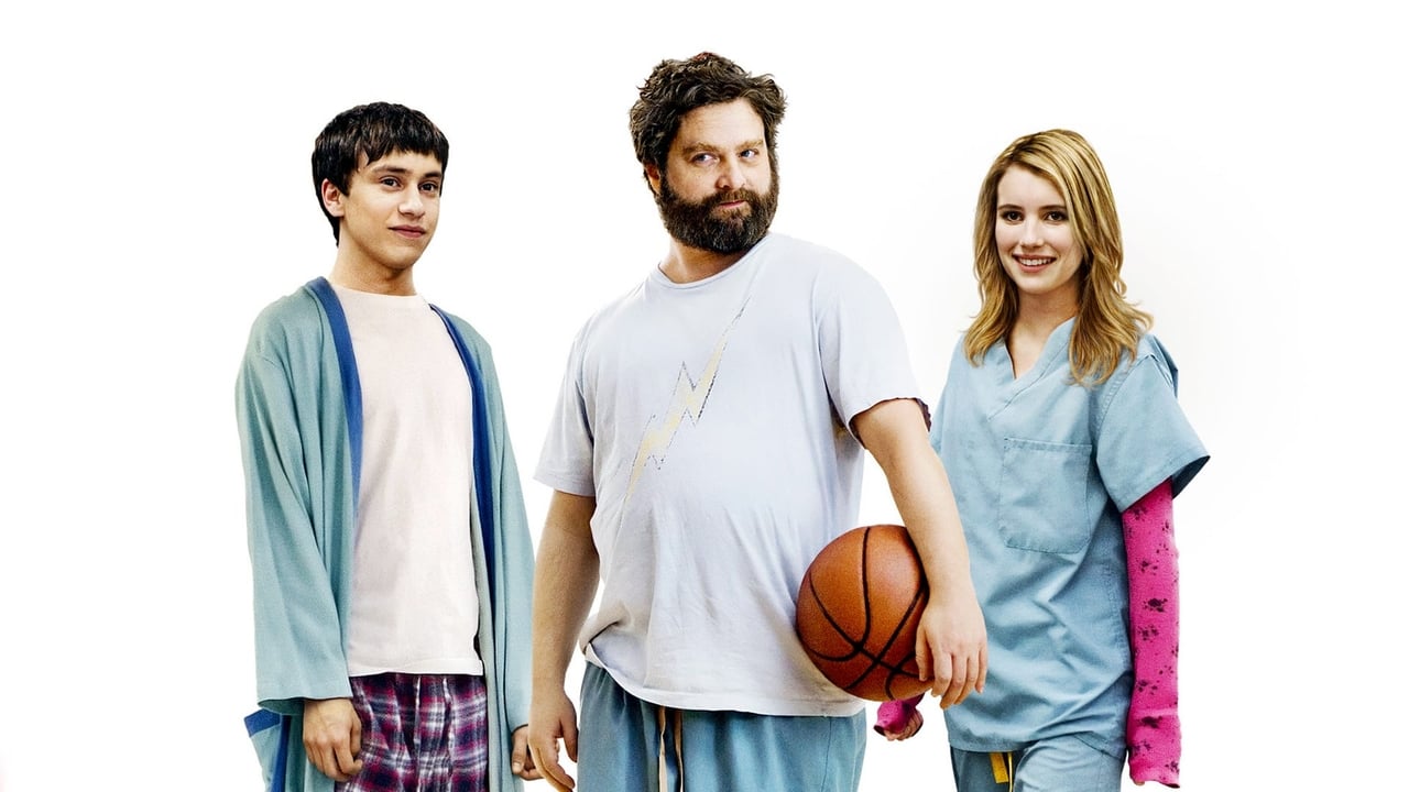 It's Kind of a Funny Story 2010 - Movie Banner