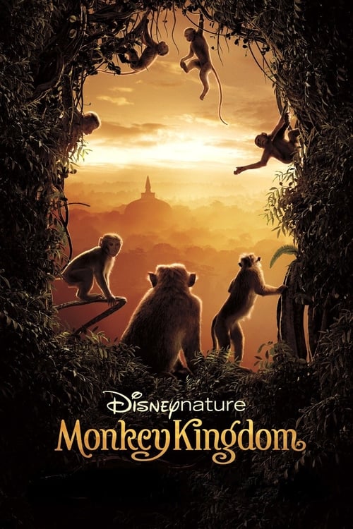 Monkey Kingdom - poster