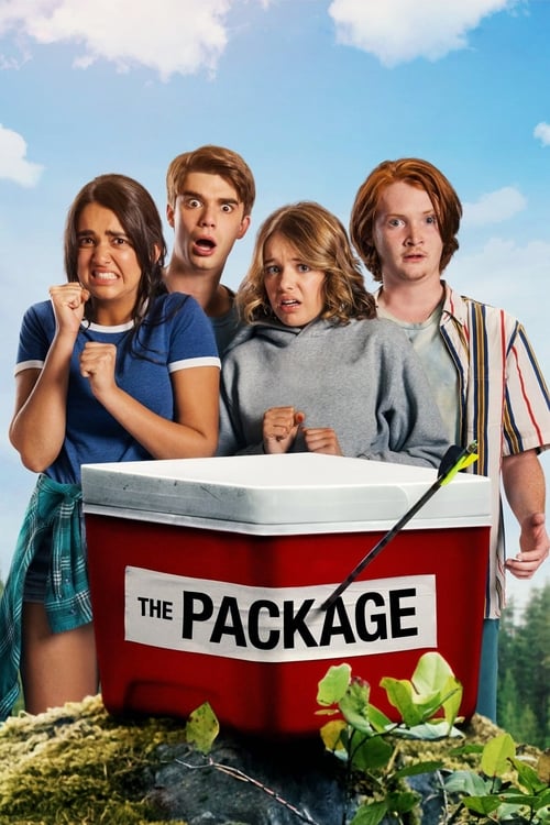 The Package - poster