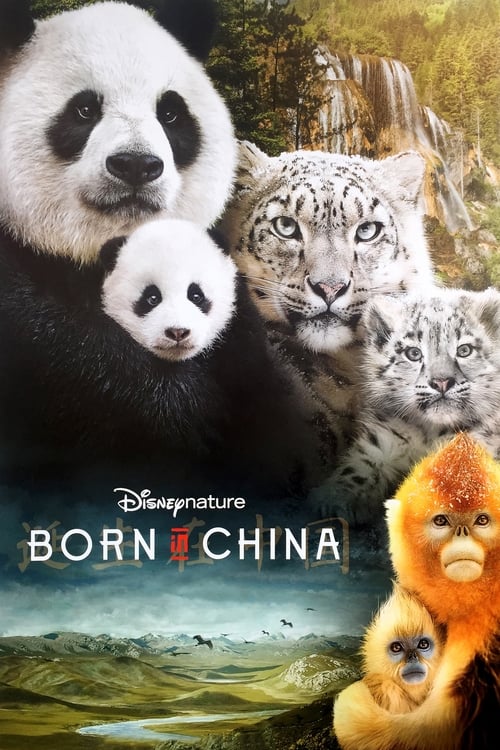 Born In China - poster