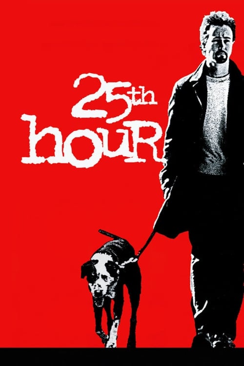 25th Hour - poster