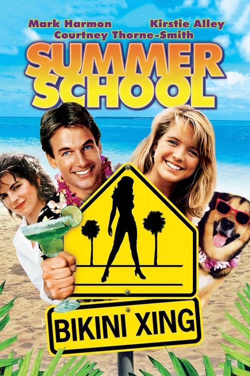 Summer School - poster