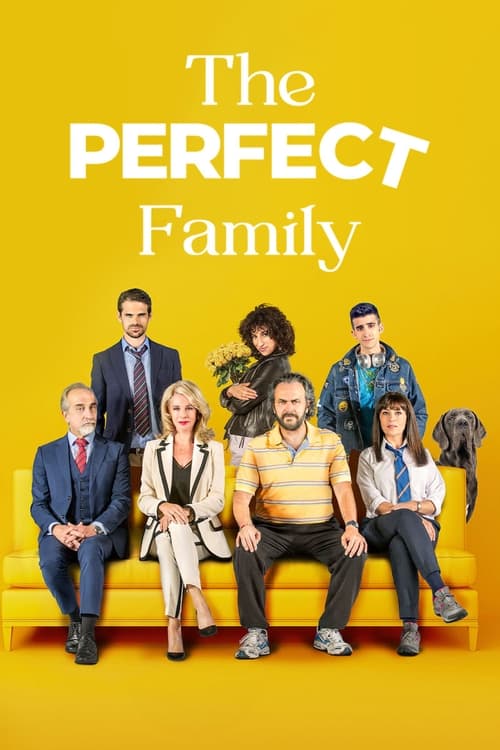 The Perfect Family - poster