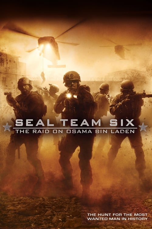 Seal Team Six: The Raid on Osama Bin Laden - poster