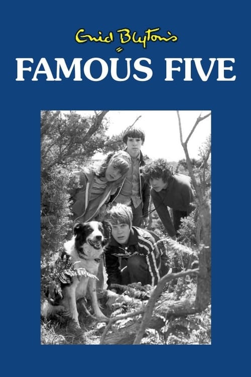 The Famous Five -  poster