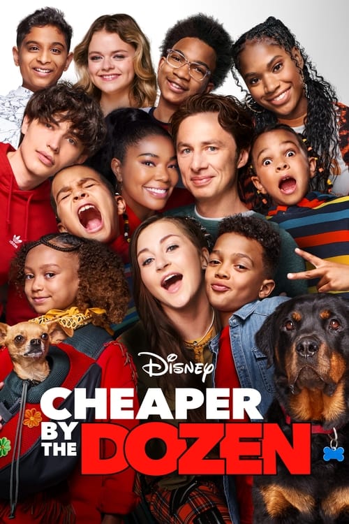 Cheaper by the Dozen - poster