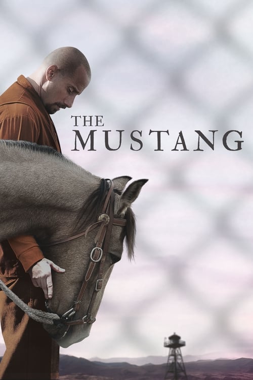 The Mustang - poster