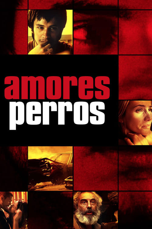 Amores Perros - poster