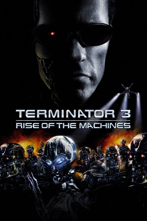 Terminator 3: Rise of the Machines - poster