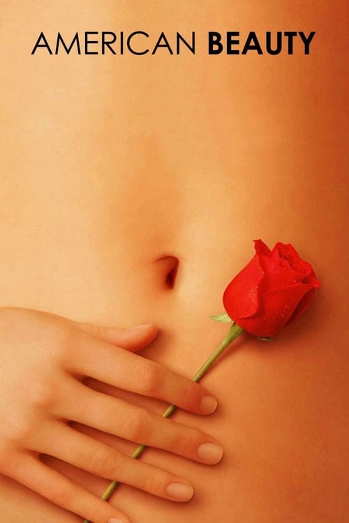 American Beauty - poster