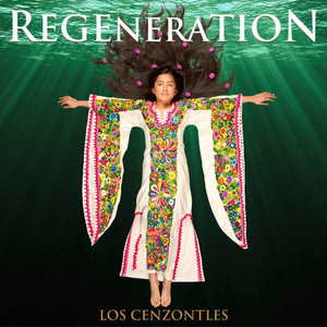 La Pelota - Los Cenzontles | Song Album Cover Artwork