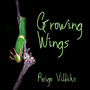 Keep on Keeping On - Reigo Vilbiks | Song Album Cover Artwork
