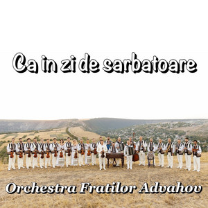 Hora Martisorului - Orchestra Fratilor Advahov | Song Album Cover Artwork