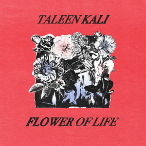 Vague Flesh - Taleen Kali | Song Album Cover Artwork