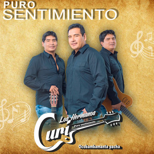 Viaje de Amor - Los Hermanos Curi | Song Album Cover Artwork