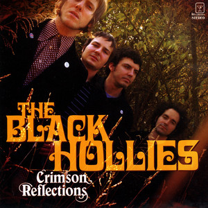 You've Been Gone Too Long - The Black Hollies | Song Album Cover Artwork