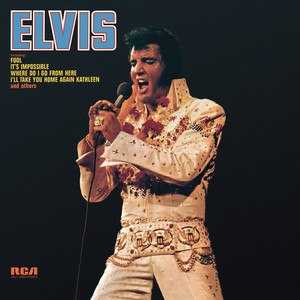 Burning Love - Elvis Presley | Song Album Cover Artwork