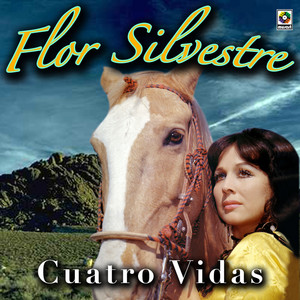 Miénteme - Flor Silvestre | Song Album Cover Artwork