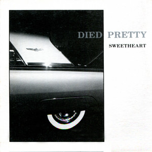 Sweetheart - Died Pretty | Song Album Cover Artwork