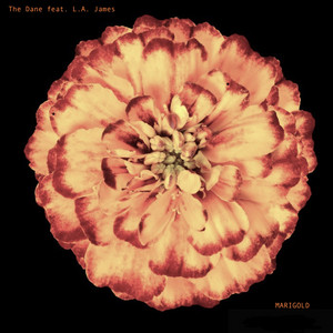 Marigold - The Dane | Song Album Cover Artwork