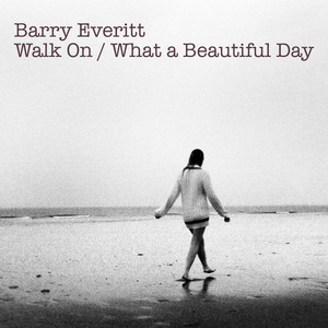 What a Beautiful Day - Barry Everitt | Song Album Cover Artwork
