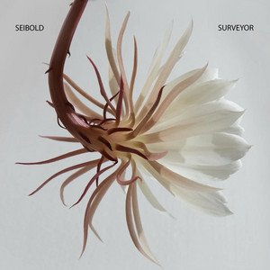 Are We Alive Seibold | Album Cover