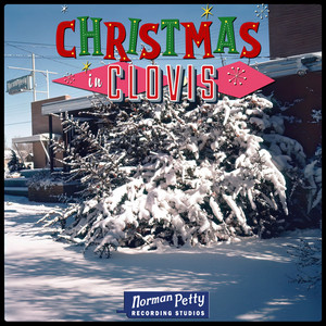 Lonely Snowflake - Norman Petty Trio | Song Album Cover Artwork