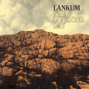 The Wild Rover - Lankum | Song Album Cover Artwork