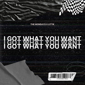 I Got What You Want - The Mondays | Song Album Cover Artwork