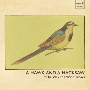 Gadje Sirba - A Hawk And A Hacksaw | Song Album Cover Artwork