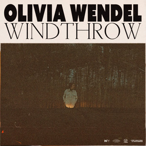 Skipping Stones - Olivia Wendel | Song Album Cover Artwork