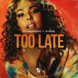 Too Late - Stonebridge Mix StoneBridge | Album Cover