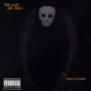Trial Time - The Last Mr. Bigg | Song Album Cover Artwork