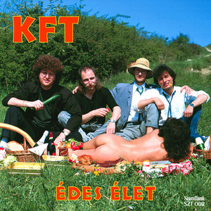 Nem sikerül kikúrálni magam - KFT | Song Album Cover Artwork