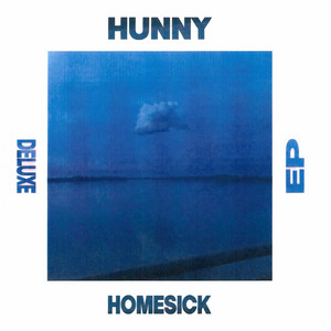 Homesick - HUNNY | Song Album Cover Artwork