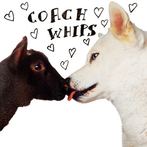 You Gonna Get It - Coachwhips | Song Album Cover Artwork