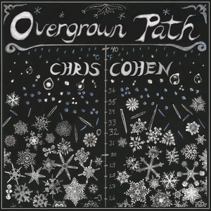 Optimist High - Chris Cohen | Song Album Cover Artwork