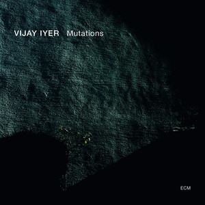 Spellbound And Sacrosanct, Cowrie Shells And The Shimmering Sea - Vijay Iyer | Song Album Cover Artwork