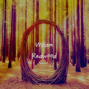 Long Long Time - William Redwood | Song Album Cover Artwork